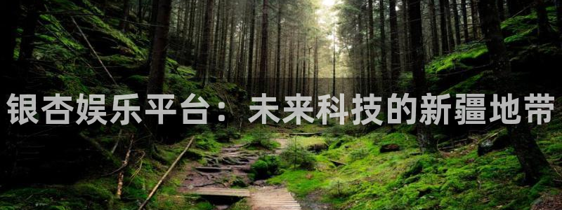 jjb竞技宝app网站：银杏娱乐平台：未来科技的新疆地带