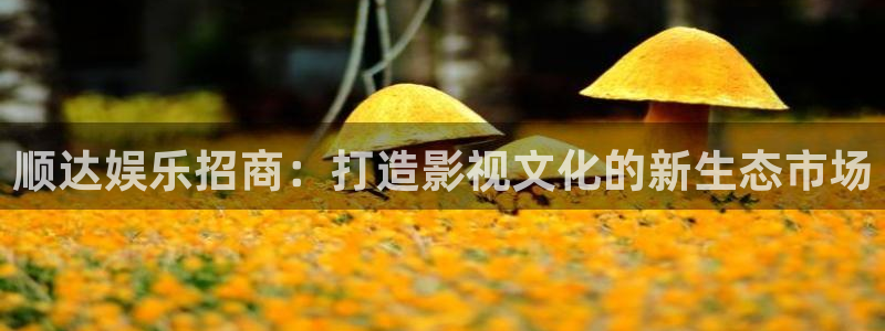 jjb竞技宝官网：顺达娱乐招商：打造影视文化的新生态市场